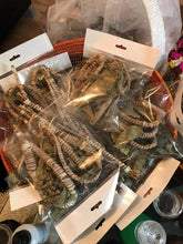 Charger l'image dans la galerie, Khamaré, Racine de Vétiver, Sèpp, Gongolili ,babi, fait 100% naturel "khamaré"