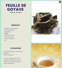 Charger l'image dans la galerie, Feuille de goyavier