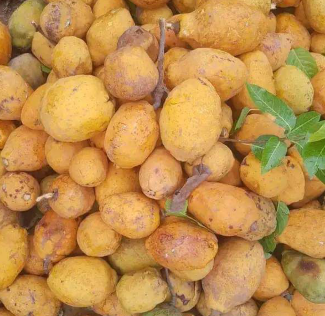 Made Sénégal 3kg