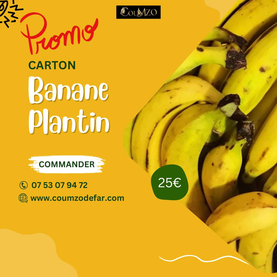 Carton aloco banane plantin 22kg