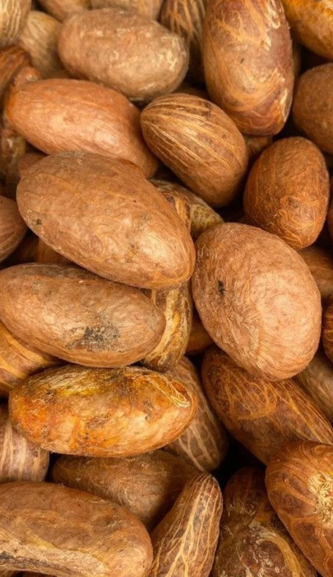Petit cola 1kg