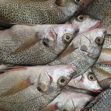 Cargar imagen en el visor de la galería, Poisson sompate senegal 5kg
