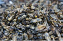 Load image into Gallery viewer, Poissons et fruits de mer sêchés
