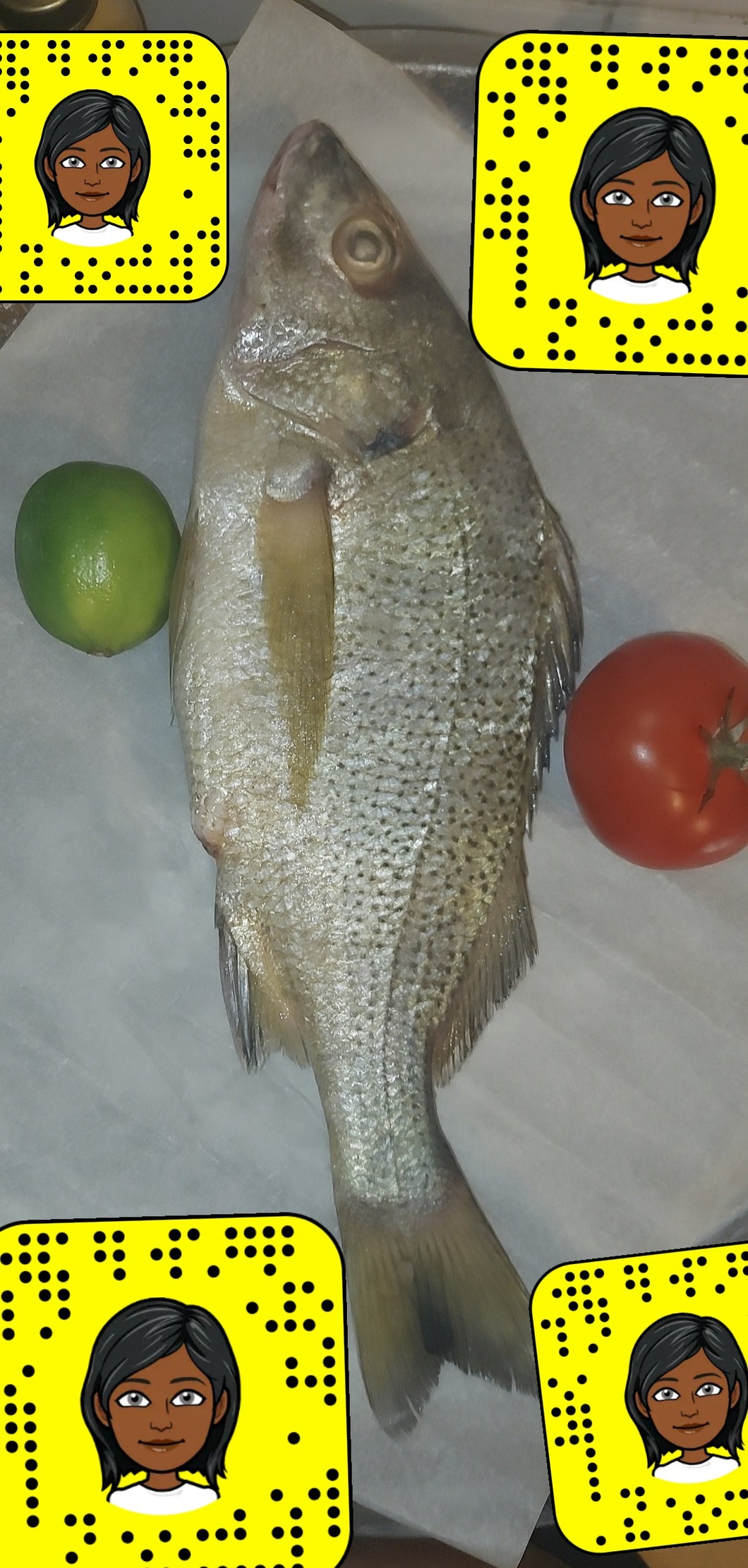 Poisson sompate senegal 5kg